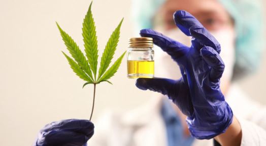 Reglamentación de la Ley de Cannabis Medicinal y Cáñamo Industrial
