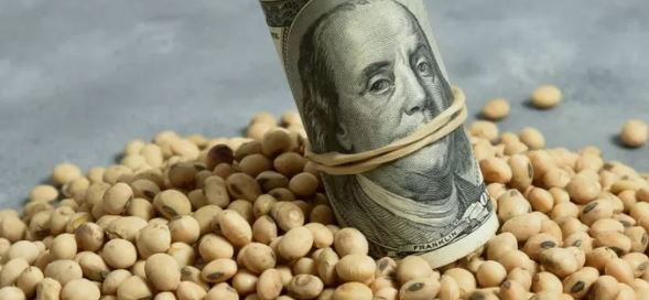 El precio de la soja podría alcanzar los $150.000 por tonelada
